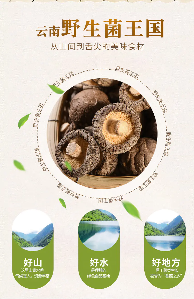 原木干香菇  云南 精品 食用菌 野生菌干货 金钱菇 香菇 批发