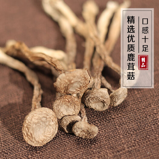 昆明云南精品干货批发 鹿茸菇 批发 一件代发 包邮