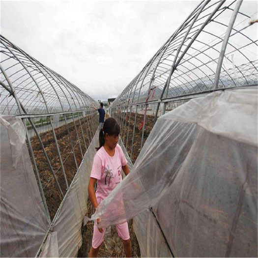 聊城 蔬菜大棚温室→【大棚膜厂家】→各种大棚薄膜【聊城于姐】