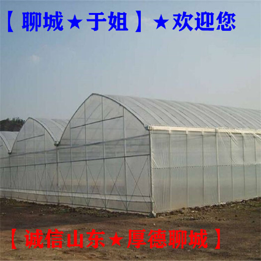 聊城 育苗大棚膜→西瓜大棚膜→蔬菜大棚膜→温室棚膜【聊城于姐】