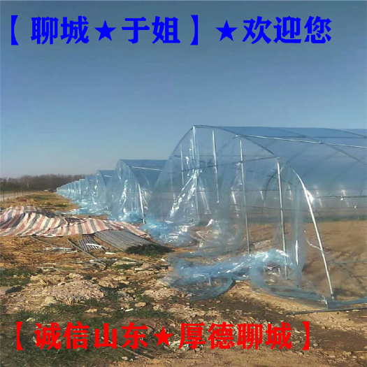 聊城 蔬菜大棚塑料薄膜【大棚膜厂家】聊城于姐