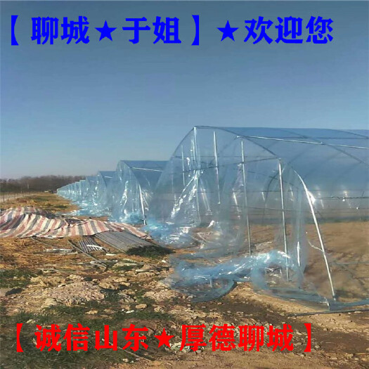 聊城 温室大棚塑料薄膜→蔬菜大棚塑料薄膜【聊城于姐】