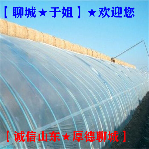 聊城育苗温室大棚 育苗农膜→蔬菜农膜→果树农膜→养殖农膜【聊城于姐】