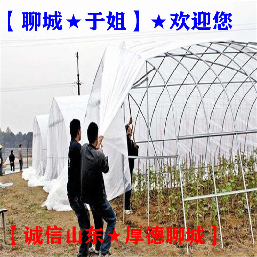 聊城 育苗大棚薄膜→育苗塑料大棚薄膜→农膜厂家【聊城于姐】
