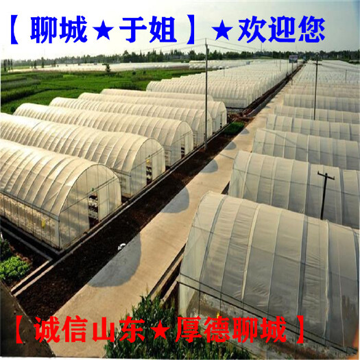 聊城 温室大棚塑料薄膜▁大棚塑料薄膜温室大棚【聊城于姐】