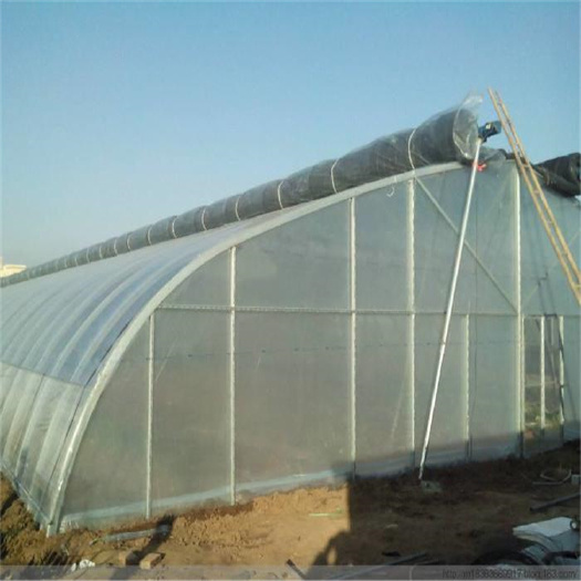 聊城 种植大棚/蔬菜/温室/果树/养殖/【大棚膜厂家】聊城于姐