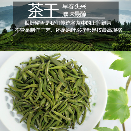 三江县 三江县醉仙岭银针雀舌250g袋装