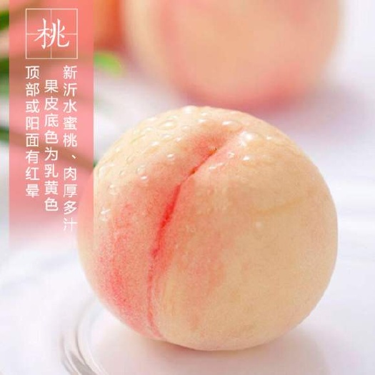 水蜜桃苗 汁多香甜 产量高 水蜜桃树苗基地直销保证品种