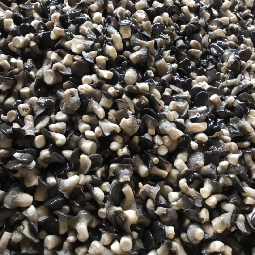 正定县 供应盐渍黑平菇、可加工巴氏杀菌袋500g、1000g
