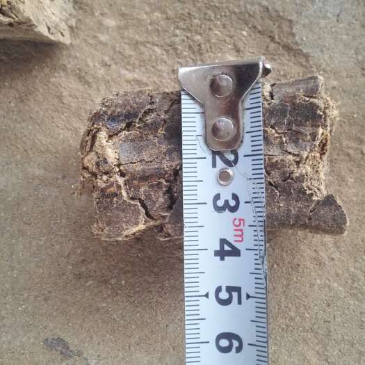 方城县燃料  秸秆压块 生物质压块多少钱一吨