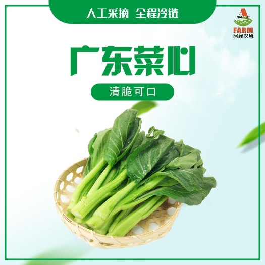 昭通 广东菜心广州菜心礼盒4斤装