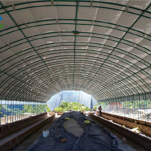 宁津县养殖大棚 养猪场建设 牛棚建设 羊棚搭建