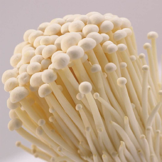 正定县 供应盐渍金针菇、可加工巴氏杀菌袋500g、1000g