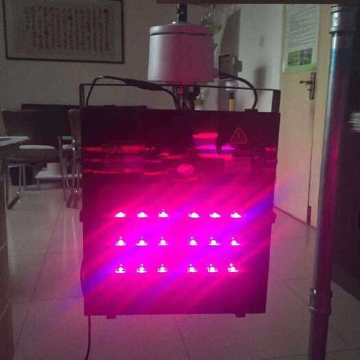 西安 红皎阳植物补光灯 樱桃葡萄专用补光灯 植物生长灯包邮