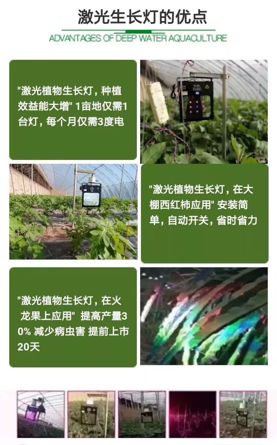 葡萄专用补光灯 大棚葡萄激光植物补光灯 葡萄补光灯