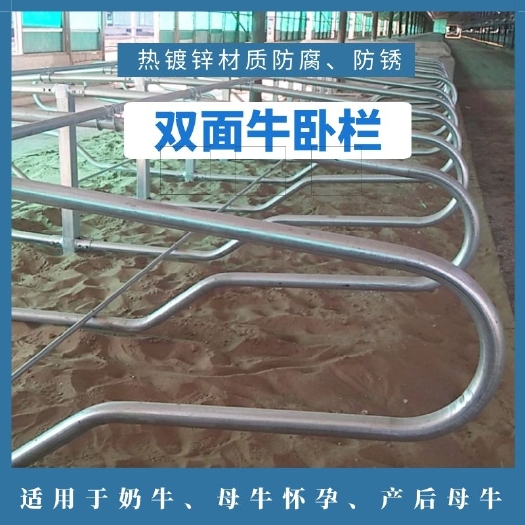 荥阳市养殖设备 厂家直销单、双面热镀锌牛卧床 各种规格高品质牛卧栏现货批发