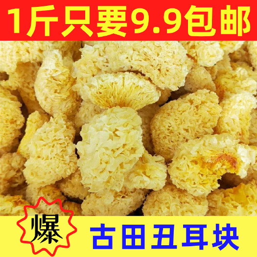 古田县古田新鲜丑耳块银耳白木耳糯耳易煮软糯多胶无硫熏