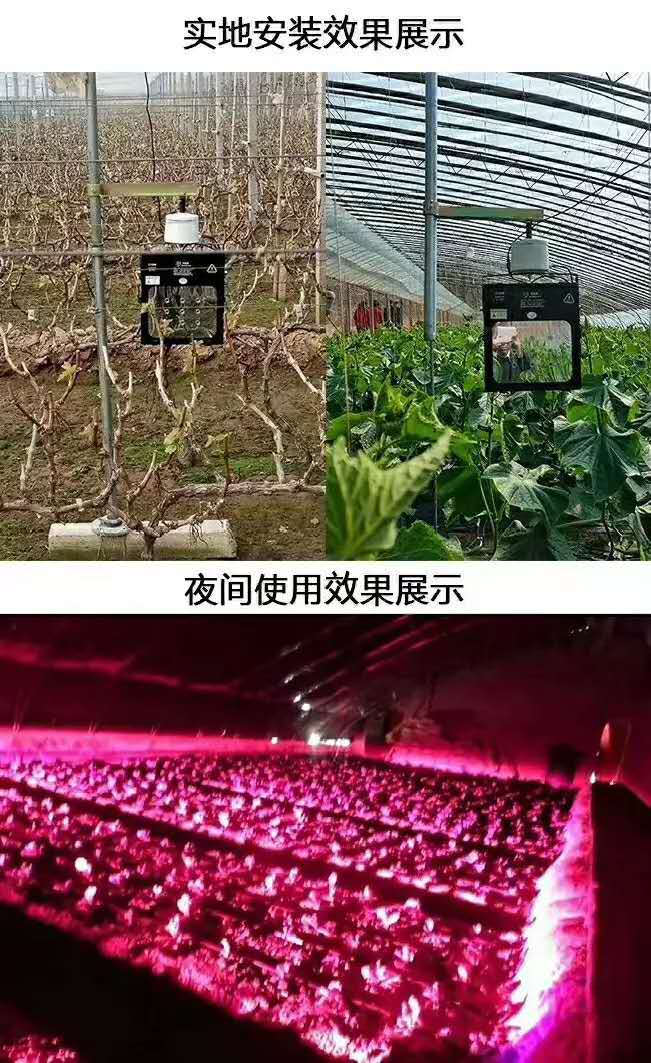 葡萄专用补光灯 大棚葡萄激光植物补光灯 葡萄补光灯