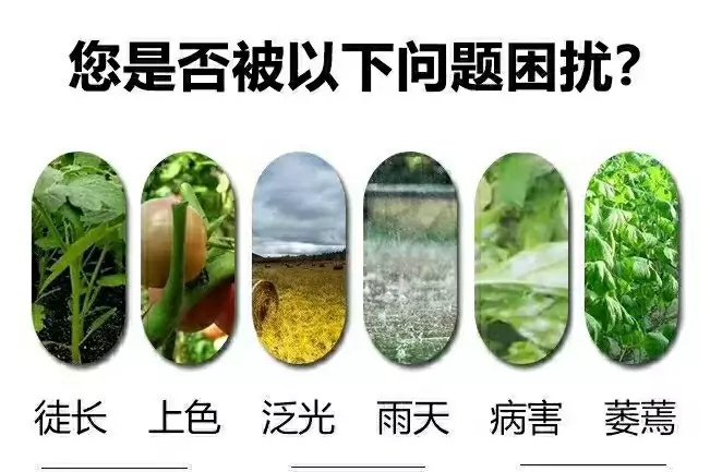 葡萄专用补光灯 大棚葡萄激光植物补光灯 葡萄补光灯