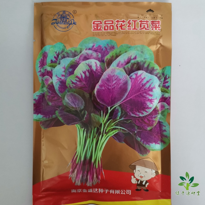 沭阳县苋菜种子红苋菜种子全红苋菜种子批发包邮