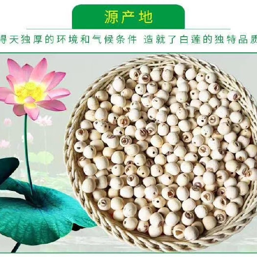 湘莲  梁子湖特产干莲子米 穿芯 煲汤滋补 磨白