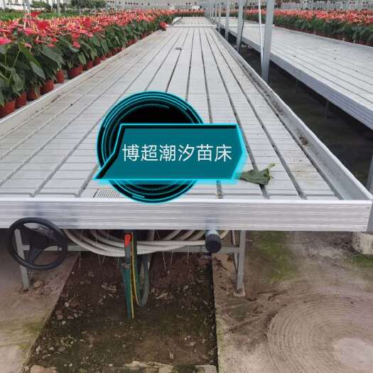 饶阳县无土栽培设备 河北博超 潮汐苗床 厂家直销 大量供货