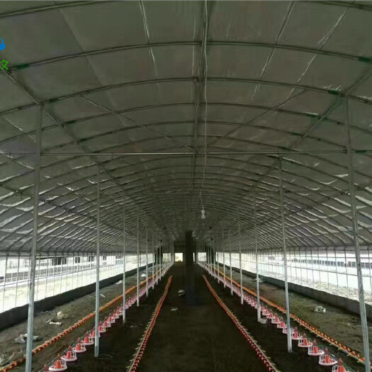 宁津县 东北养猪大棚 鸡棚 牛羊棚搭建 山东大棚厂家