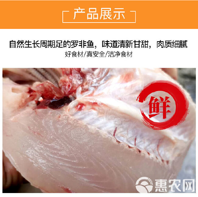 鲷鱼  海鲜罗非鱼水产批发 罗非鱼三去餐饮快递食用鱼 批发