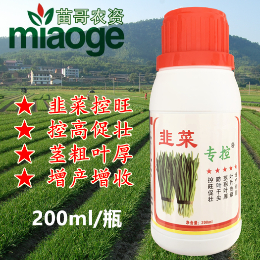 荥阳市韭菜专控旺蹲根养根控旺促壮防干尖防倒伏叶嫩茎粗