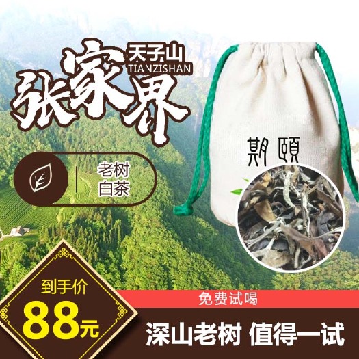张家界张家界白茶高山云雾古树茶叶特级寿眉散茶手工茶正品