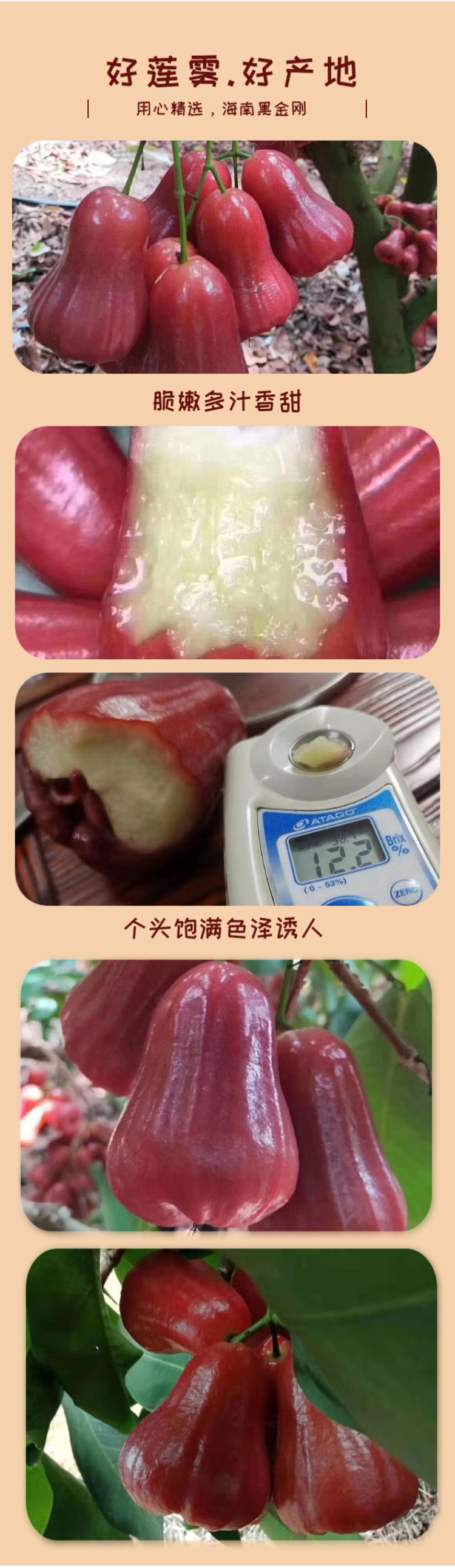 【顺丰/京东空运】海南黑金刚莲雾非黑珍珠泰国4/5斤包邮