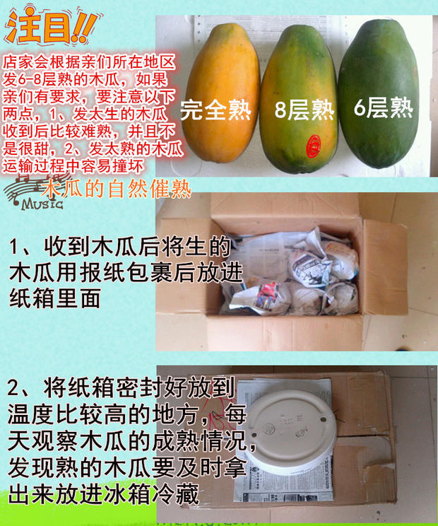 【顺丰/京东快递】海南红心牛奶木瓜5斤10斤一件代发