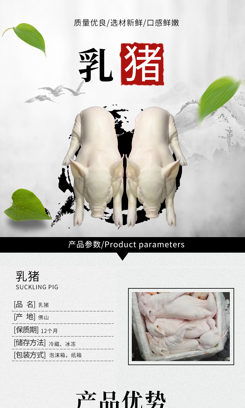 工厂供应烧猪源材料冰鲜乳猪冷冻乳猪整只乳猪 猪肉批发