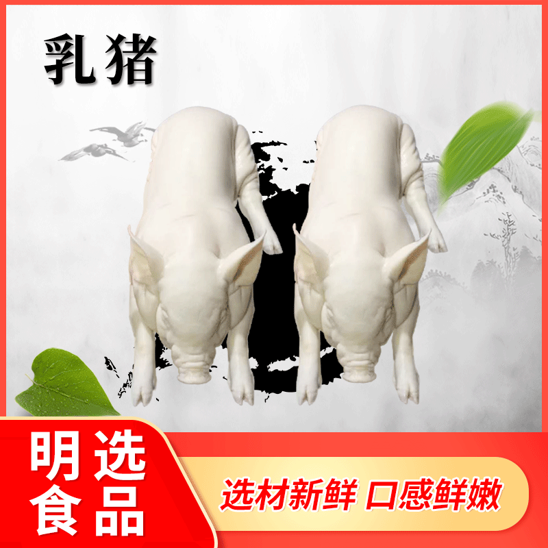 工厂供应烧猪源材料冰鲜乳猪冷冻乳猪整只乳猪 猪肉批发