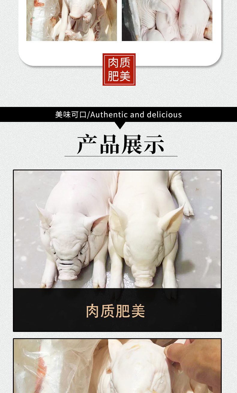 工厂供应烧猪源材料冰鲜乳猪冷冻乳猪整只乳猪 猪肉批发