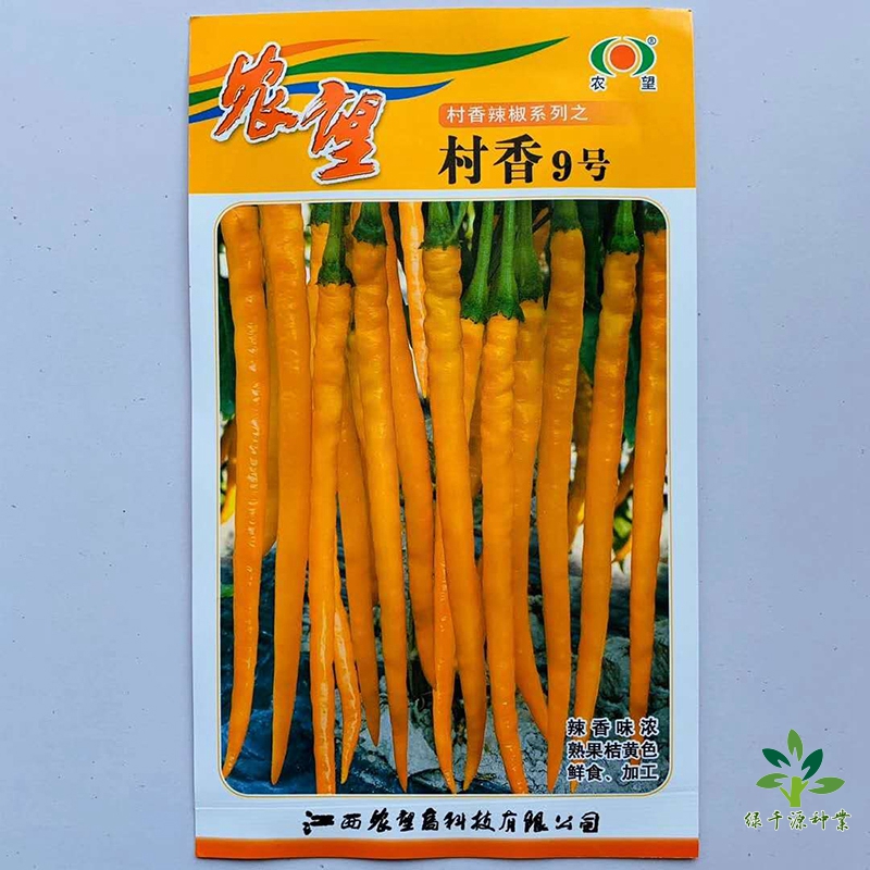 沭阳县辣椒种子线椒种子黄色线椒种子包邮高产优质杂交种子