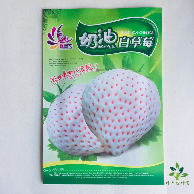 沭阳县草莓种子奶油草莓种子红草莓种子白草莓种子包邮