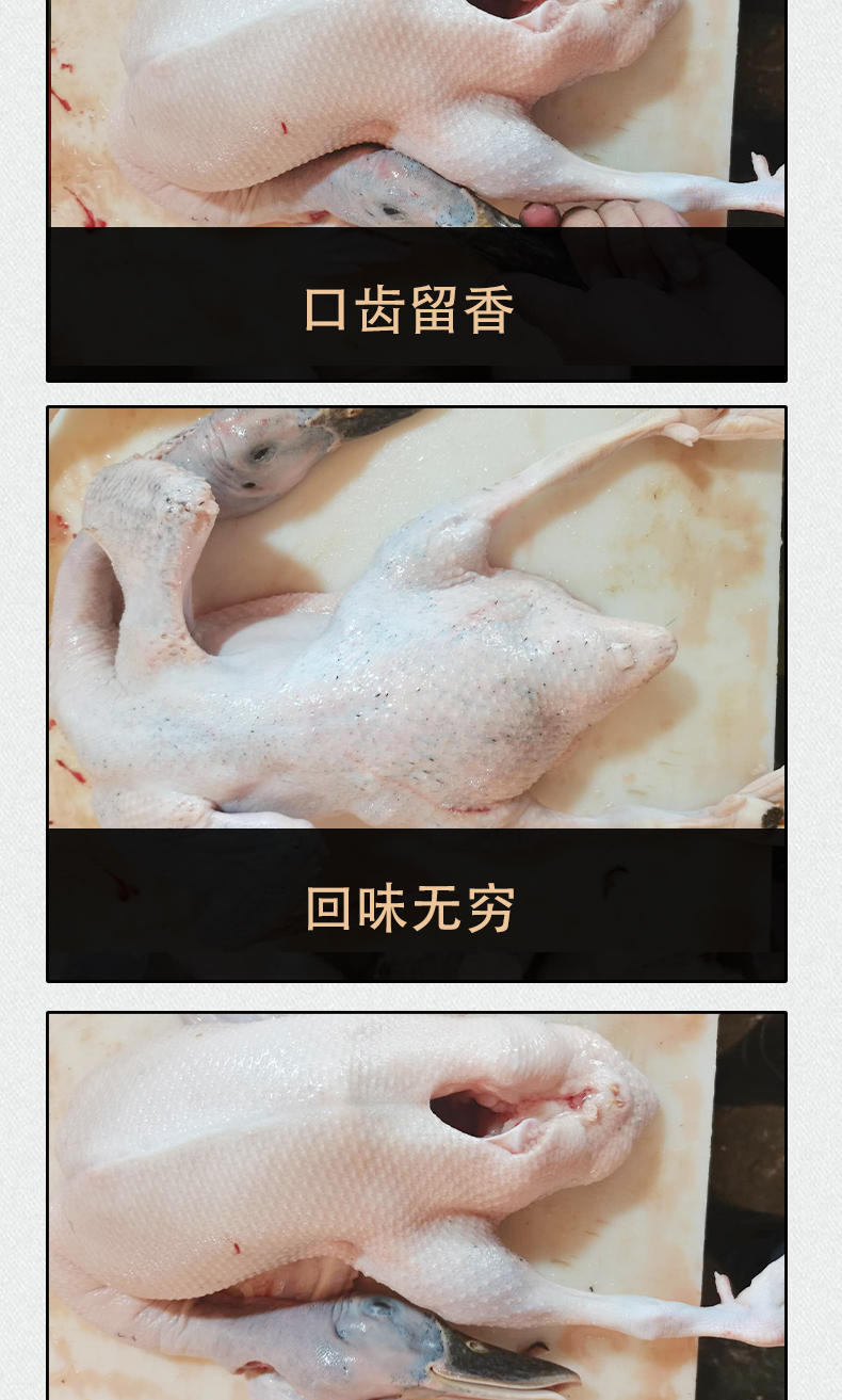 工廠直銷青頭鴨煲湯火鍋原材料冰鮮鴨急凍鴨肉新鮮光鴨批發(fā)