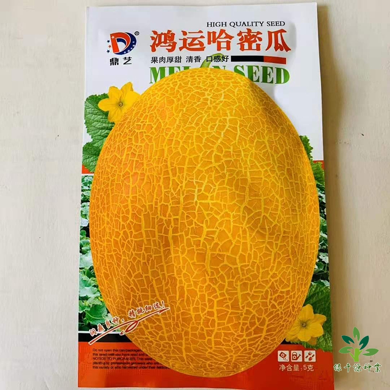 沭阳县网纹瓜种子  哈密瓜种子巨甜种子包邮