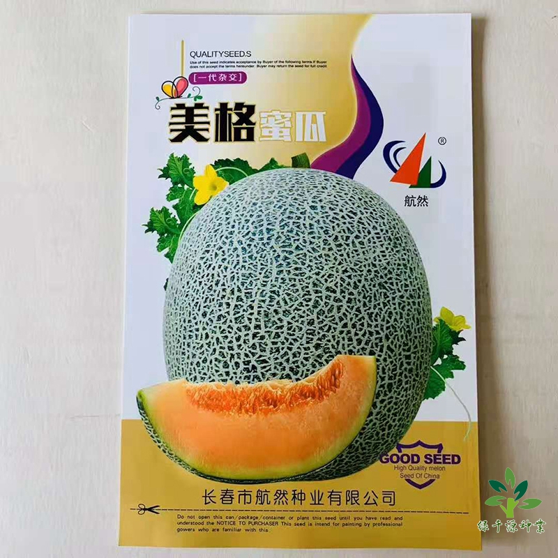 沭阳县网纹瓜种子   哈密瓜种子巨甜种子包邮
