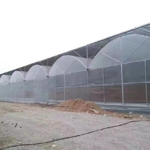青州市智能温室大棚，薄膜大棚，薄膜连栋温室大棚建设厂家