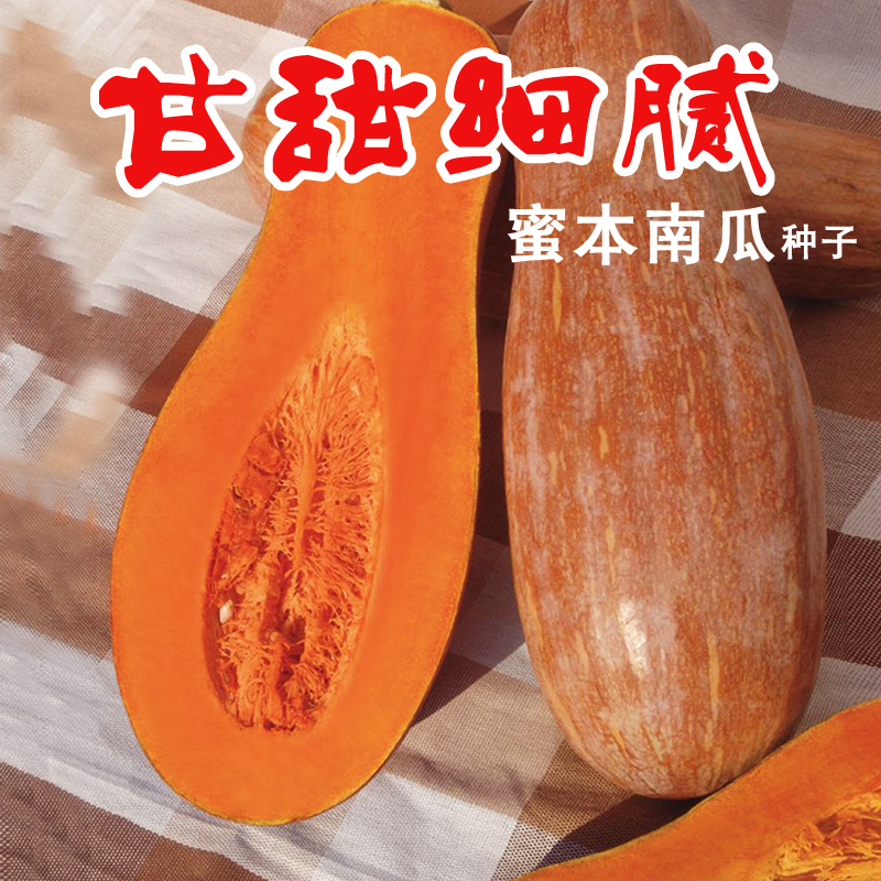 建瓯市 蜜本南瓜种子甜面南瓜露天易种植菜种子四季播包邮农家蔬菜种孑