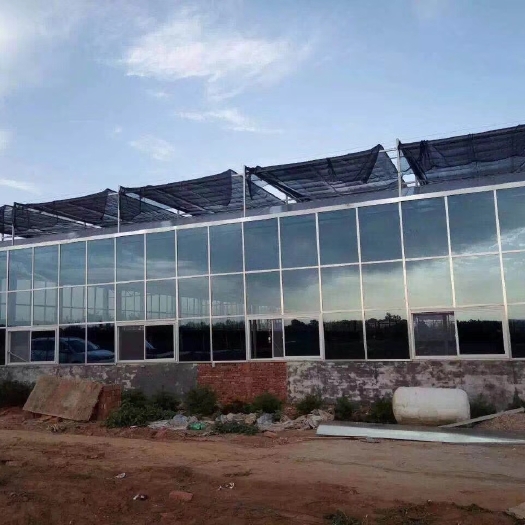 青州市智能玻璃温室大棚建造厂家，包设计包施工包售后【荐】
