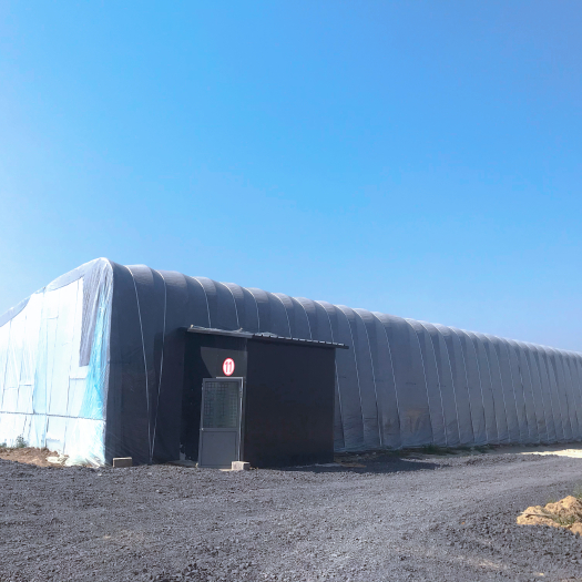青州市钢架温室大棚，冬季日光温室大棚建造商，包设计包施工包售后
