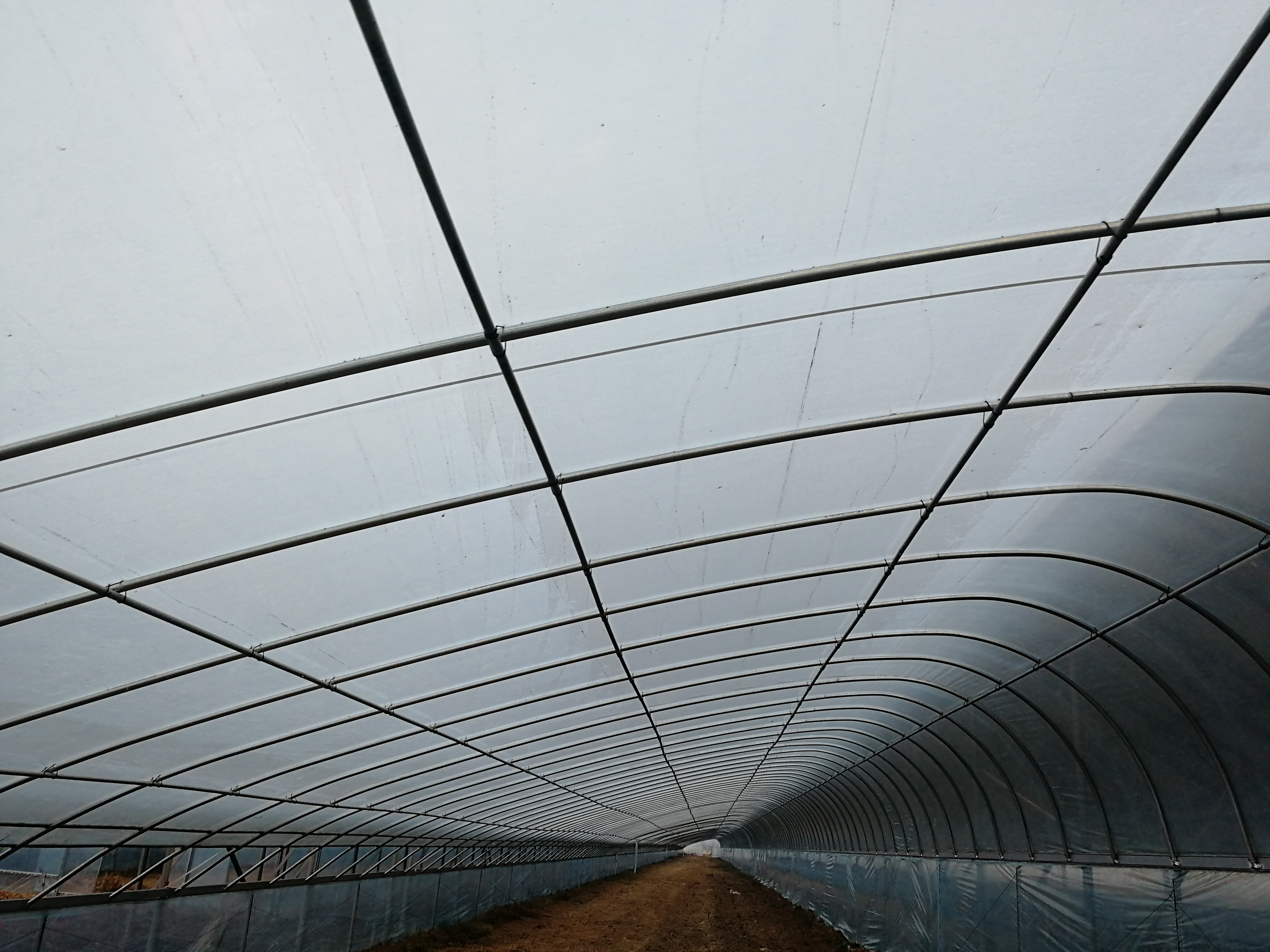 钢架温室大棚，冬季日光温室大棚建造商，包设计包施工包售后