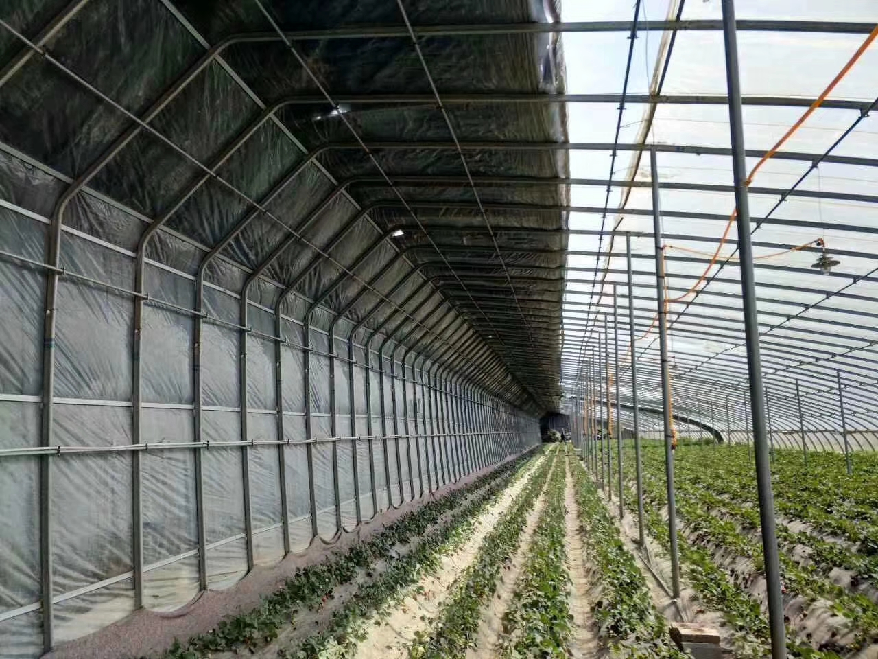 钢架温室大棚，冬季日光温室大棚建造商，包设计包施工包售后