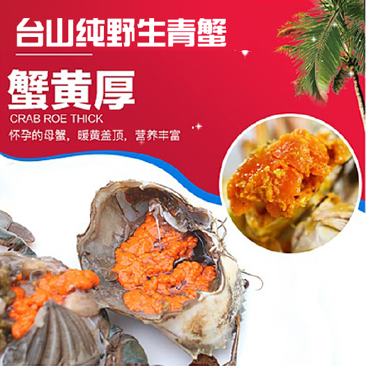 台山市广东台山鲜活青蟹膏蟹全母蟹红鲜活特大鲜水产品