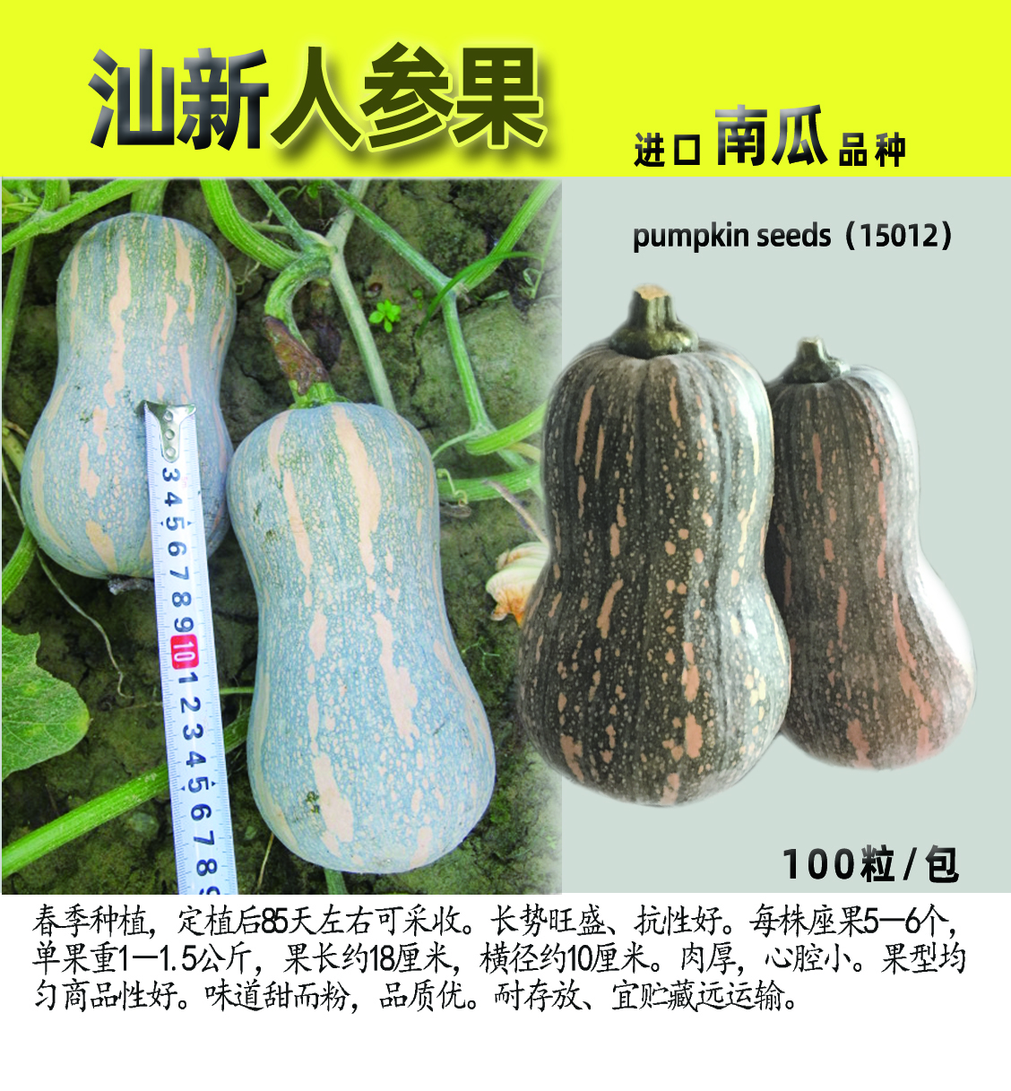 春季包邮金香花生汕研人参果南瓜种子10克约100