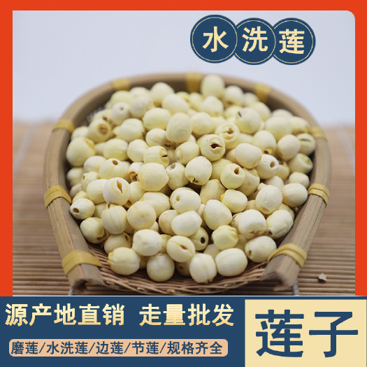 玉林莲子 去芯水洗莲 红莲 磨莲 开边 莲银耳莲子羹组合批发
