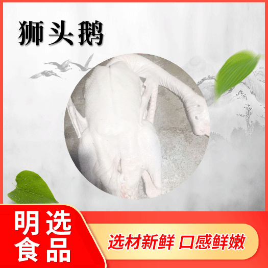 佛山鹅肉  工厂直销卤水狮头鹅白切狮头鹅速冻狮头鹅鲜嫩狮头鹅新鲜鹅